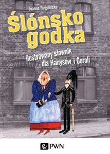 Ślónsko godka Ilustrowany słownik dla Hanysów i Goroli bookstore