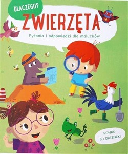 Zwierzęta. Dlaczego? pytania i odpowiedzi dla maluchów polish books in canada