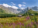 Kalendarz 2025 trójdzielny Tatry - 