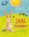 Zając Poziomka to buy in Canada