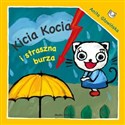 Kicia Kocia i straszna burza Polish bookstore