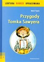 Przygody Tomka Sawyera polish books in canada