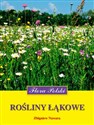Rośliny łąkowe Flora Polski - Zbigniew Nawara