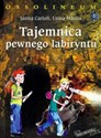 Tajemnica pewnego labiryntu books in polish