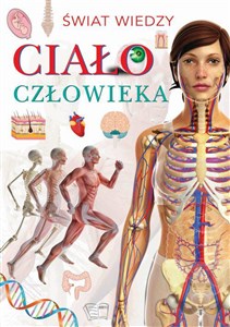 Ciało człowieka Świat wiedzy in polish