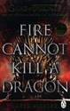 Fire Cannot Kill a Dragon chicago polish bookstore