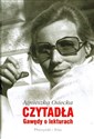 Czytadła Gawędy o lekturach buy polish books in Usa