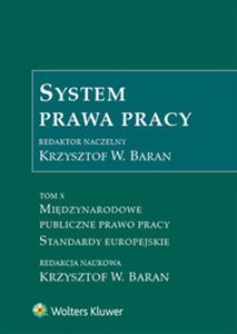 System prawa pracy Tom 10 Międzynarodowe publiczne prawo pracy Bookshop