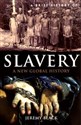 A Brief History of Slavery A New Global History polish usa