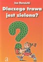 Dlaczego trawa jest zielona 