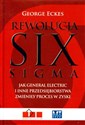 Rewolucja Six Sigma Jak General Electric i inne przedsiębiorstwa zmieniły proces w zyski online polish bookstore