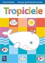 Tropiciele Pięciolatek. Zeszyt grafomotoryczny pl online bookstore