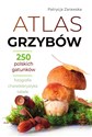 Atlas grzybów - Patrycja Zarawska