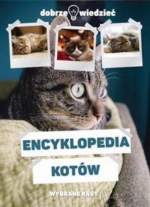 Encyklopedia kotów chicago polish bookstore