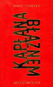 Kapłana błaznem List do Janusza Palikota Polish bookstore