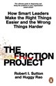 The Friction Project  in polish