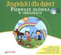 Angielski dla dzieci Pierwsze słówka w obrazkach  