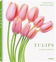 Tulips Bookshop