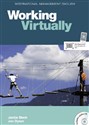 Working Virtually + CD 