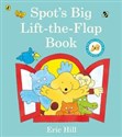 Spot's Big Lift-the-flap Book bookstore