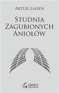 Studnia Zagubionych Aniołów Bookshop