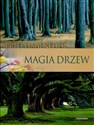 MAGIA DRZEW (PROMOCJA ŚWIĄTECZNA) Canada Bookstore