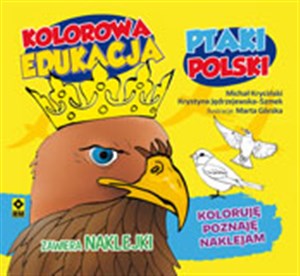 Kolorowa edukacja Ptaki Polski to buy in Canada