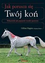 Jak porusza się Twój koń to buy in Canada