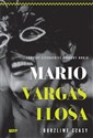 Burzliwe czasy - Mario Vargas Llosa