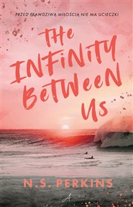 The Infinity Between Us  polish books in canada