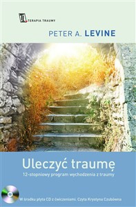 Uleczyć traumę 12- stopniowy program wychodzenia z traumy buy polish books in Usa