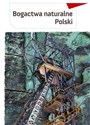 Bogactwa naturalne Polski in polish