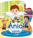 Anioł zgody to buy in USA