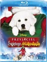 Przyjaciel Świętego Mikołaja polish books in canada