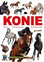 Konie rasy pielęgnacja jeździectwo Bookshop