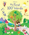 My first 100 Words polish usa