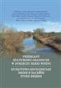 Przemiany kulturowo-osadnicze w dorzeczu rzeki Wiszni w epoce brązu i we wczesnej epoce żelaza w kontekście zmian prahistorycznej i wczesnohistorycznej ekumeny buy polish books in Usa