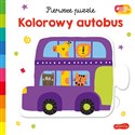 Pierwsze puzzle Kolorowy autobus - Damien Barlow, Lisa Barlow