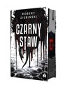 Czarny Staw Polish bookstore