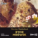 [Audiobook] Życie mrówek Polish Books Canada