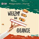 [Audiobook] Wiedźmy na gigancie  