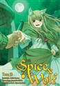 Spice and Wolf. Tom 10  chicago polish bookstore