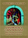 Opowieści zapomniane Nieznane legendy Krakowa i okolic pl online bookstore