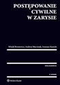 Postępowanie cywilne w zarysie polish books in canada