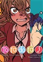 Toradora. Tom 8  polish usa