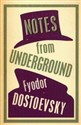 Notes from Underground buy polish books in Usa