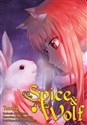 Spice and Wolf. Tom 14  - Keito Koume, Isuna Hasekura