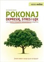 Pokonaj depresję stres i lęk czyli terapia poznawczo - behawioralna w praktyce - Stephen Briers books in polish