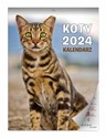 Kalendarz 2024 Koty ścienny  in polish