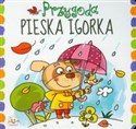 Przygoda pieska Igorka - Anna Podgórska